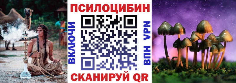 где купить наркоту  Нурлат  Галлюциногенные грибы мицелий 