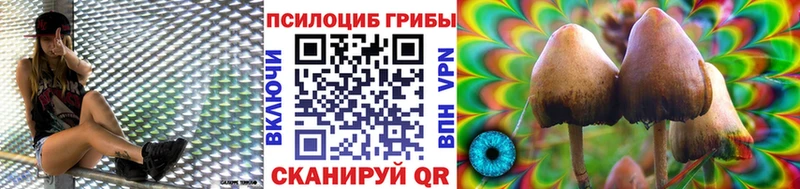 Псилоцибиновые грибы ЛСД Нурлат